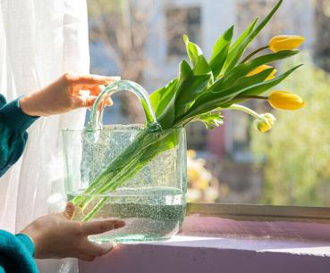 Muxing Glas Blumenvase Handtasche geformt klar Vase Aquarium